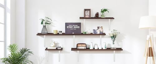 12 Pack L10 x H 8" White Heavy Duty Shelf Brackets with Screws Metal She...