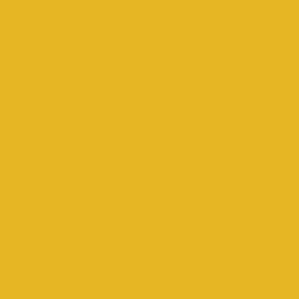 ANT Yellow, 24" x 50โ, Permanent Vinyl Roll, Adhesive Vinyl Roll, for DI...