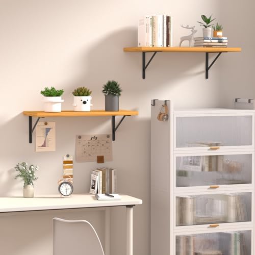 20 Pack L12 x H 8" Black Heavy Duty Shelf Brackets with Screws Metal She...