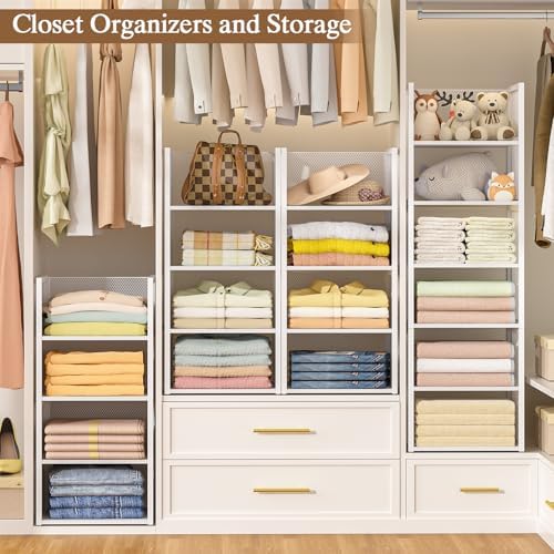 4-Tier Stackable Closet Organizers and Storage Basket, Wire Clothes Shelf Org...