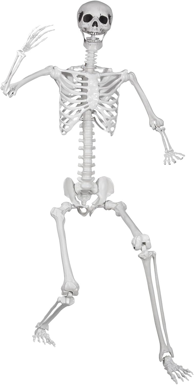 5.9ft/180cm Posable Halloween Skeleton, Life Size Skeleton Bones with Movable...