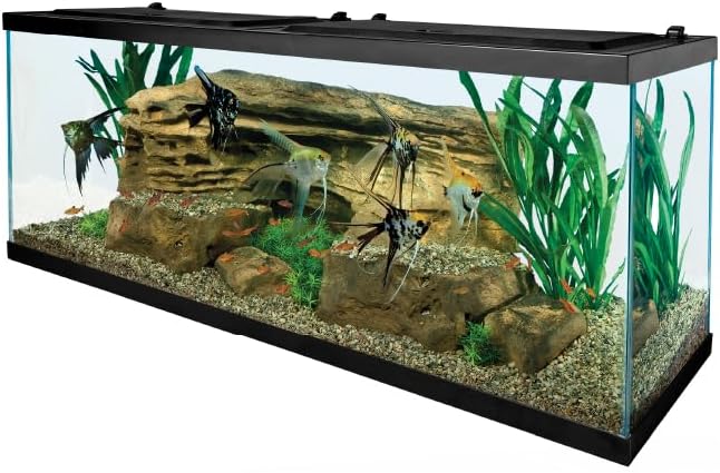Tetra LED 55 Gallon Complete Fish Tank Kit for Freshwater Fish