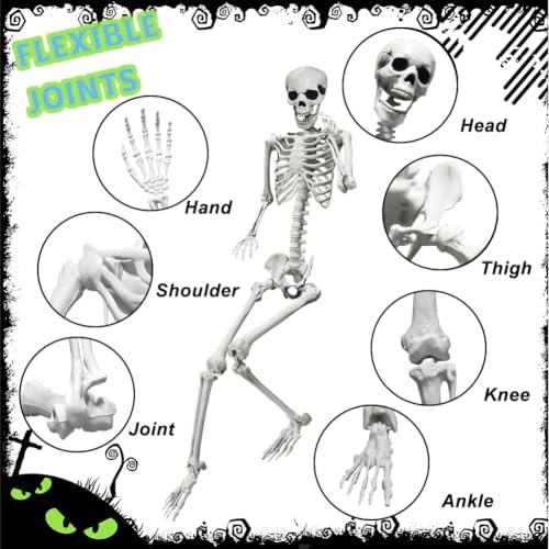 5.4FT Life Size Skeleton with Cat Dog, Plastic Skeleton for Halloween Decor