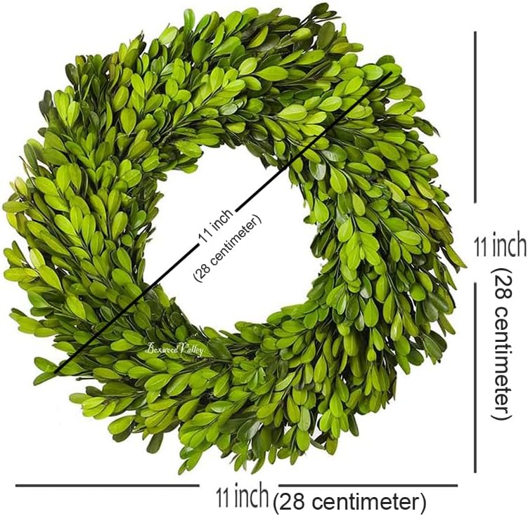 Preserved Boxwood Wreath, 11 Inches, Green Wreath for All Seasons Indoor Use ...