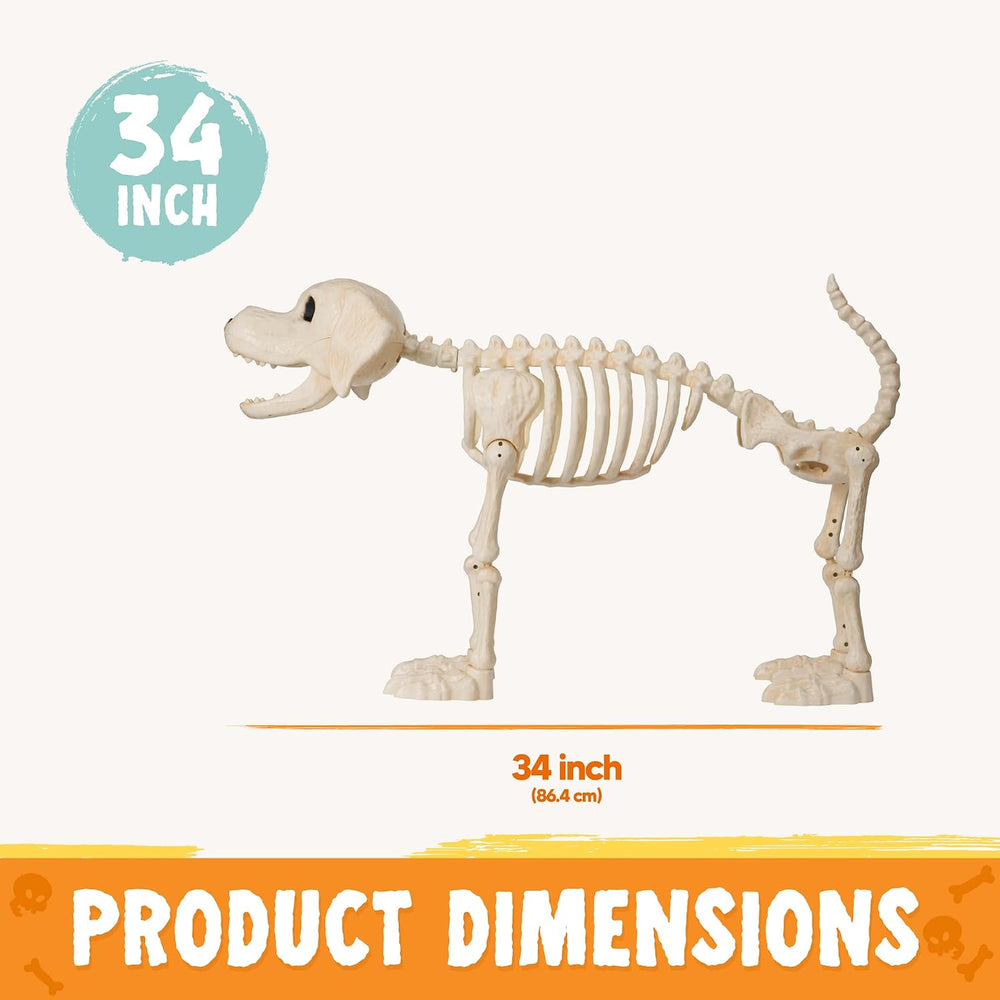JOYIN Halloween Golden Retriever Skeleton 34โ Animal Dog Plastic Skeleton wit...