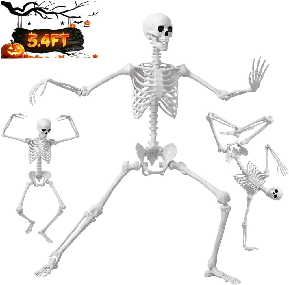 5.4FT/165cm Halloween Life Size Human Skeleton with Full Body Posable Joint