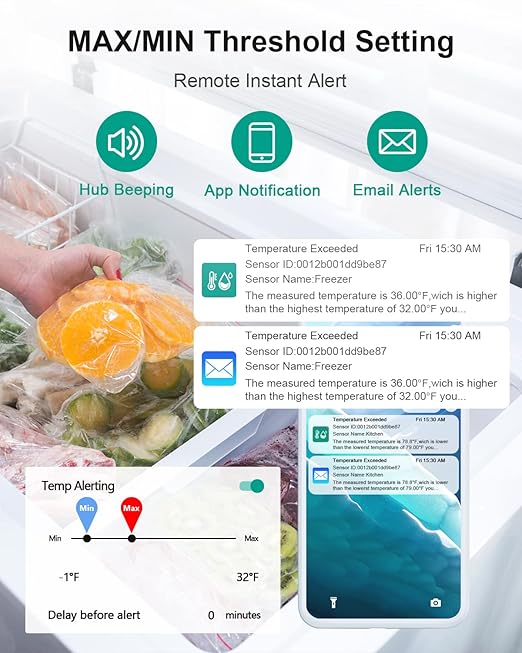 WiFi Thermometer Freezer Alarm, Email Alert, App Notification, Data Record