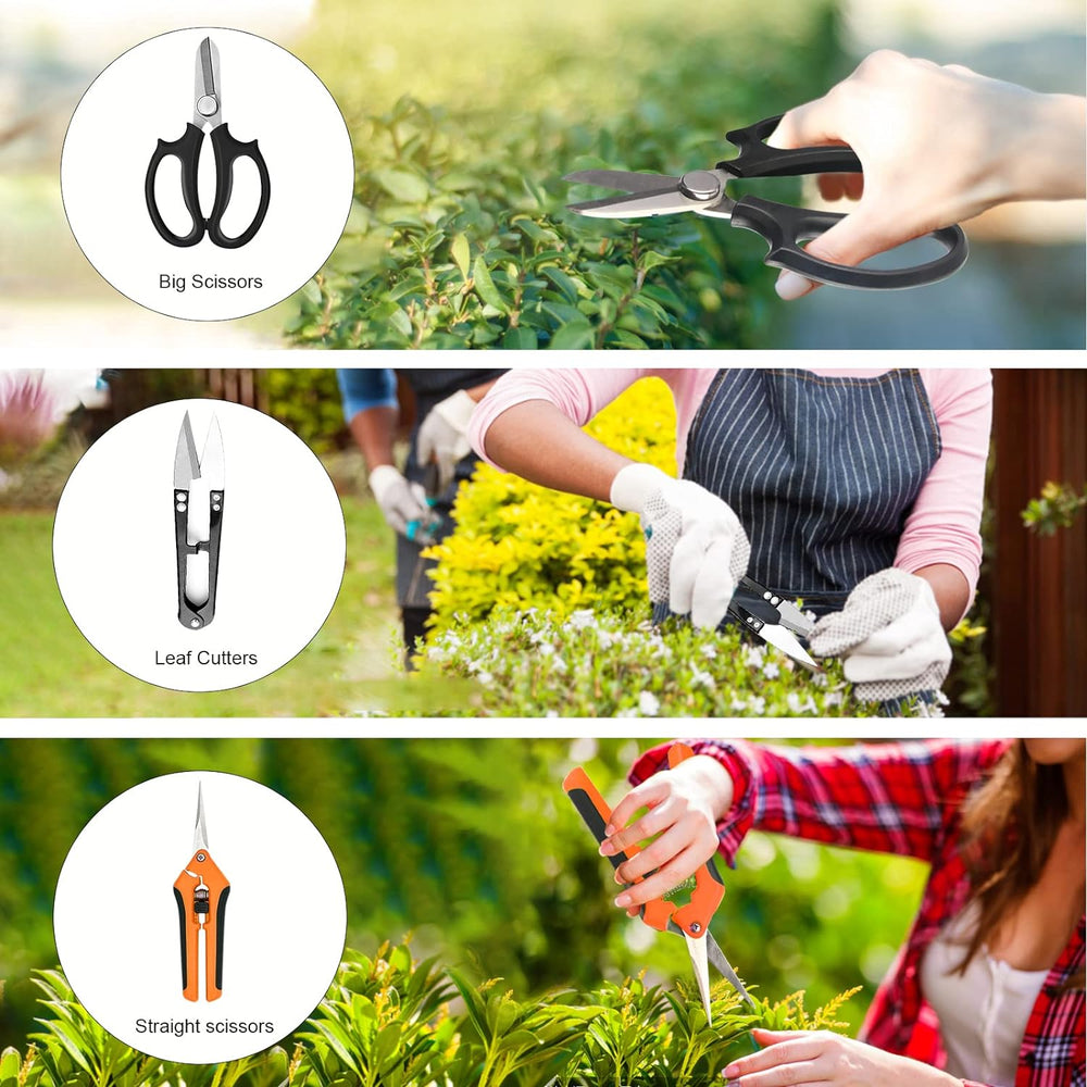 Bonsai Tools Set, 20 Pcs Gardening Succulent Tree Indoor Beginner Tool Kit, I...