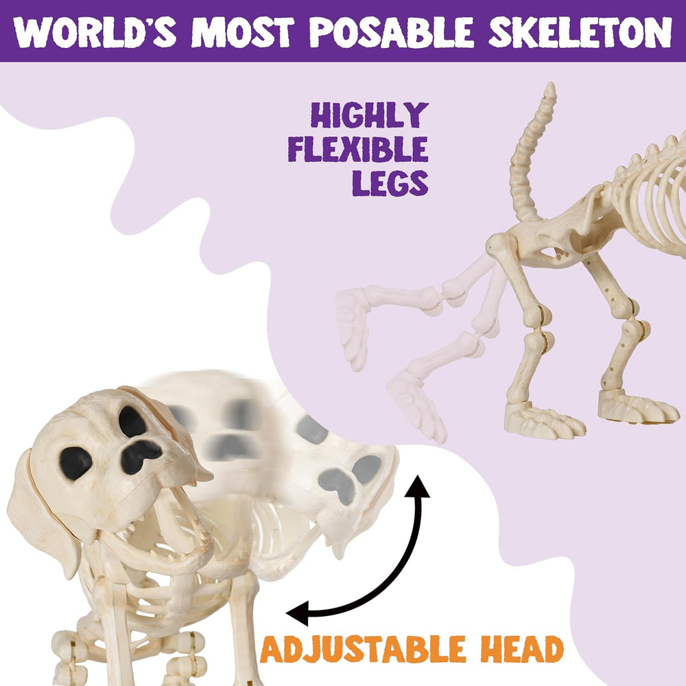 JOYIN Halloween Golden Retriever Skeleton 34โ Animal Dog Plastic Skeleton wit...