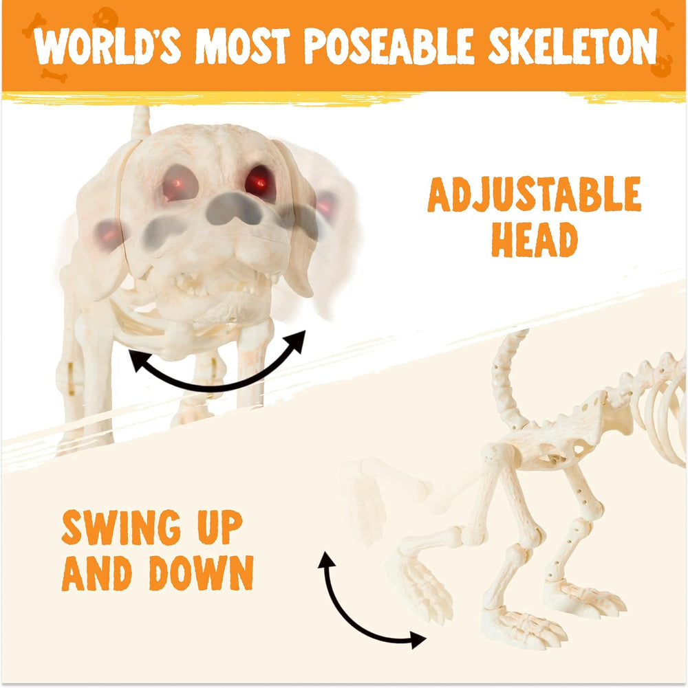 JOYIN Halloween Golden Retriever Skeleton 34โ Animal Dog Plastic Skeleton wit...