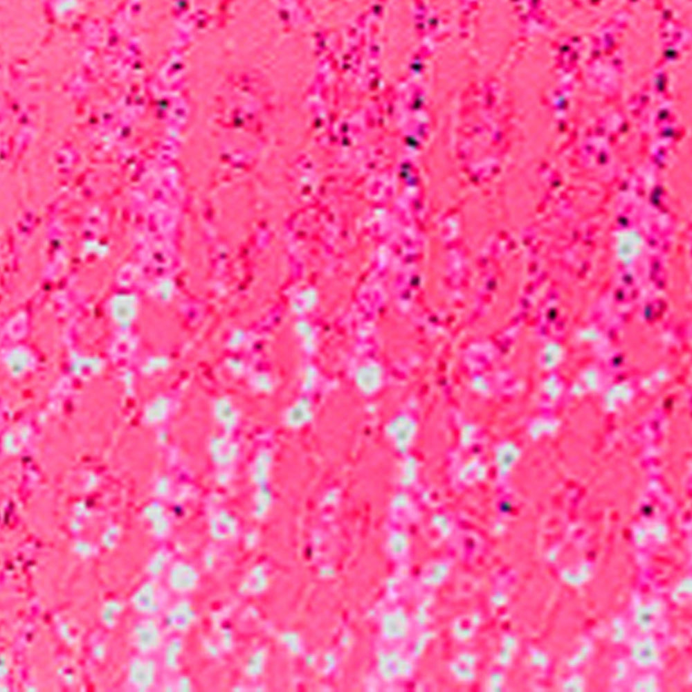 CAR PASS Universal Leather Pink Lace Car Seat Covers Full Set for Women Girls...