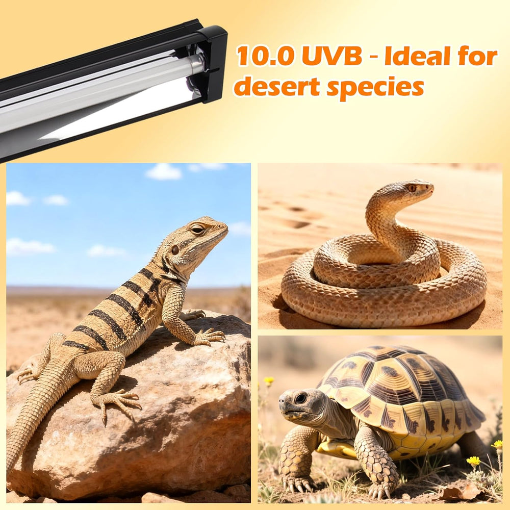 T5 UVB Reptile Light Fixture Combo Kit 24W 10.0 – Complete HO UVB Light for R...