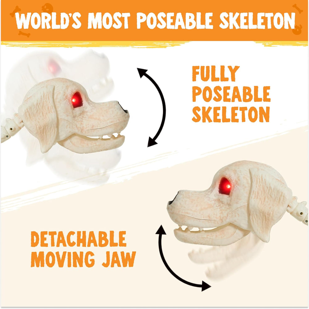 JOYIN Halloween Golden Retriever Skeleton 34โ Animal Dog Plastic Skeleton wit...
