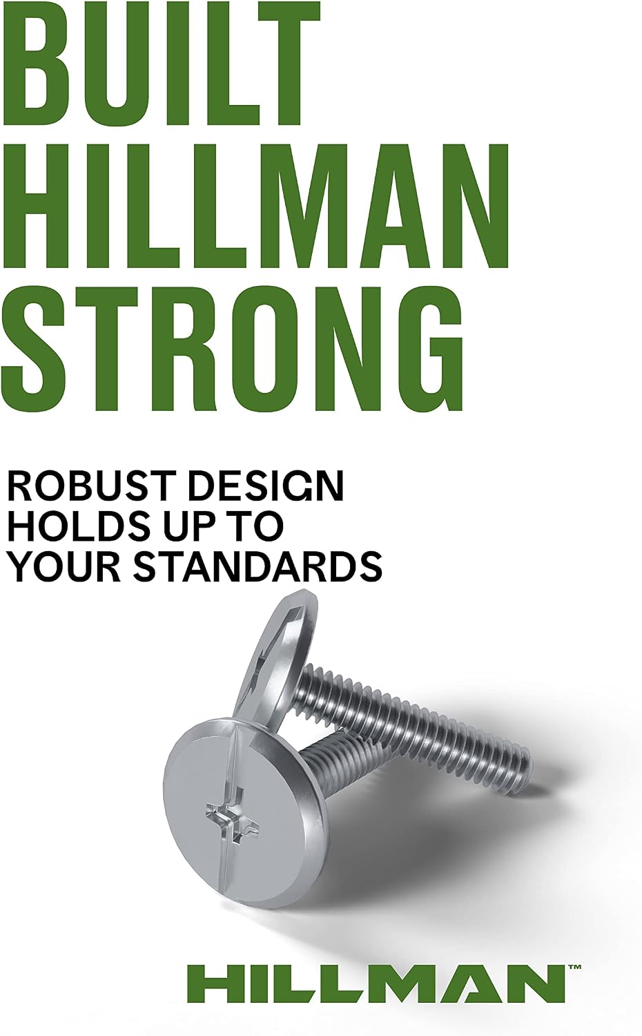 Hillman 100 Pcs Stainless Steel Hurricane Bolts (1/4"-20 x 1") | Ph...