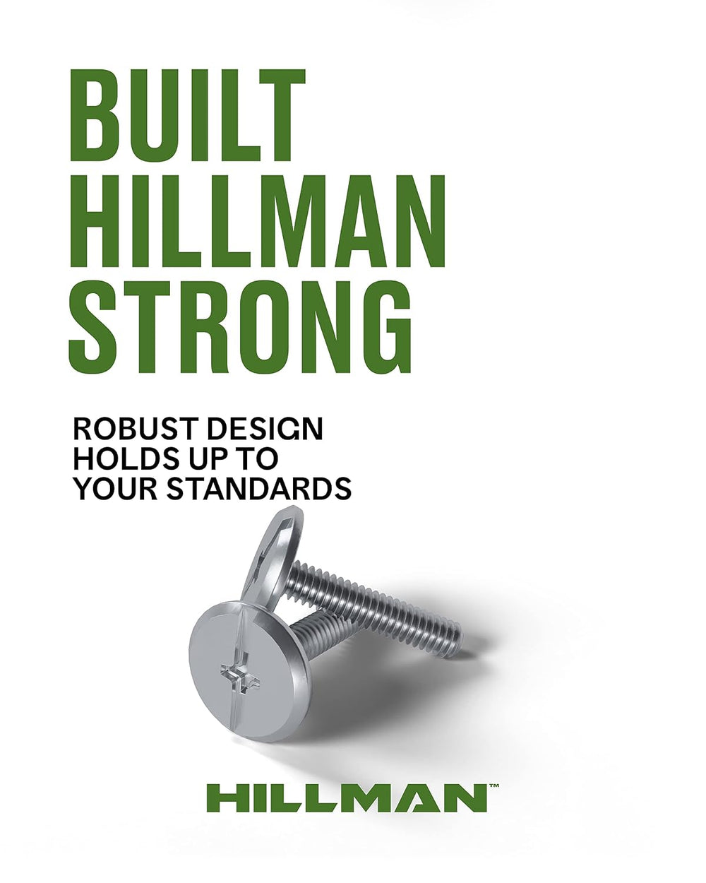 Hillman Hurricane Bolt Stainless Steel Combo Drive Low Profile Truss Head 1/4...