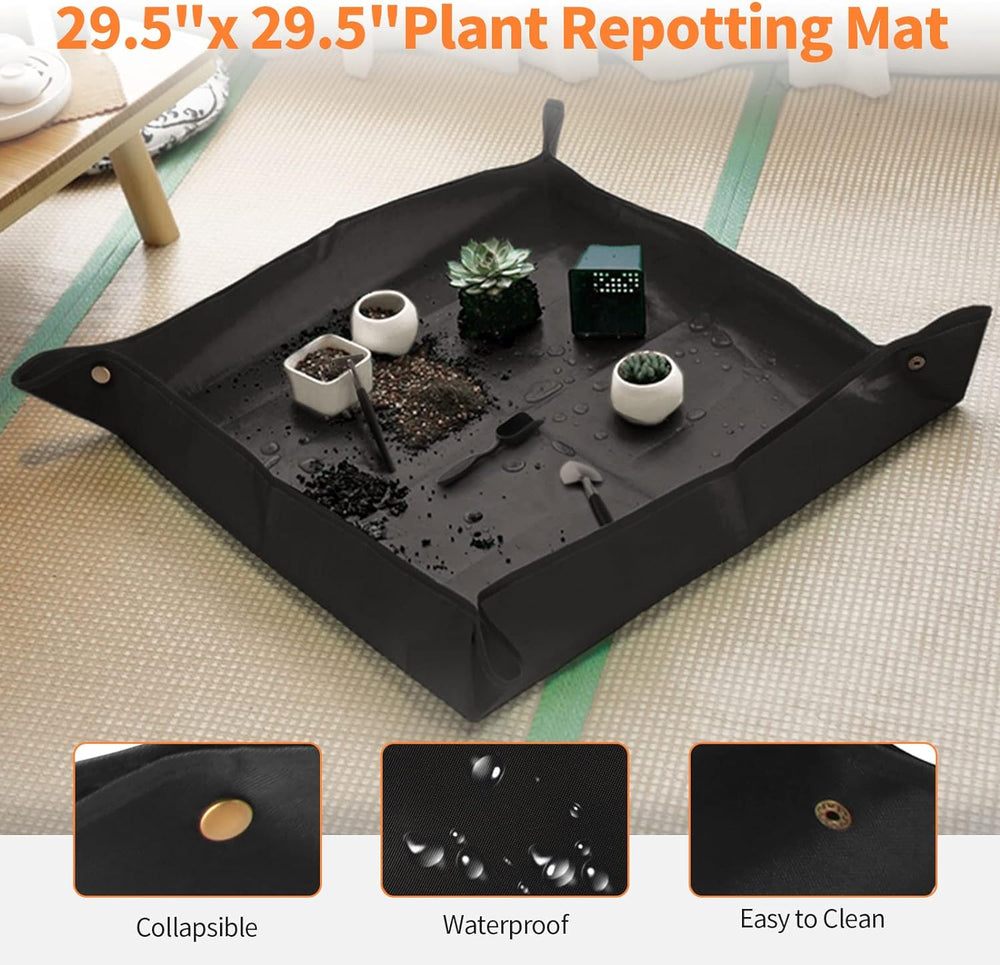 Bonsai Tools Set, 20 Pcs Gardening Succulent Tree Indoor Beginner Tool Kit, I...