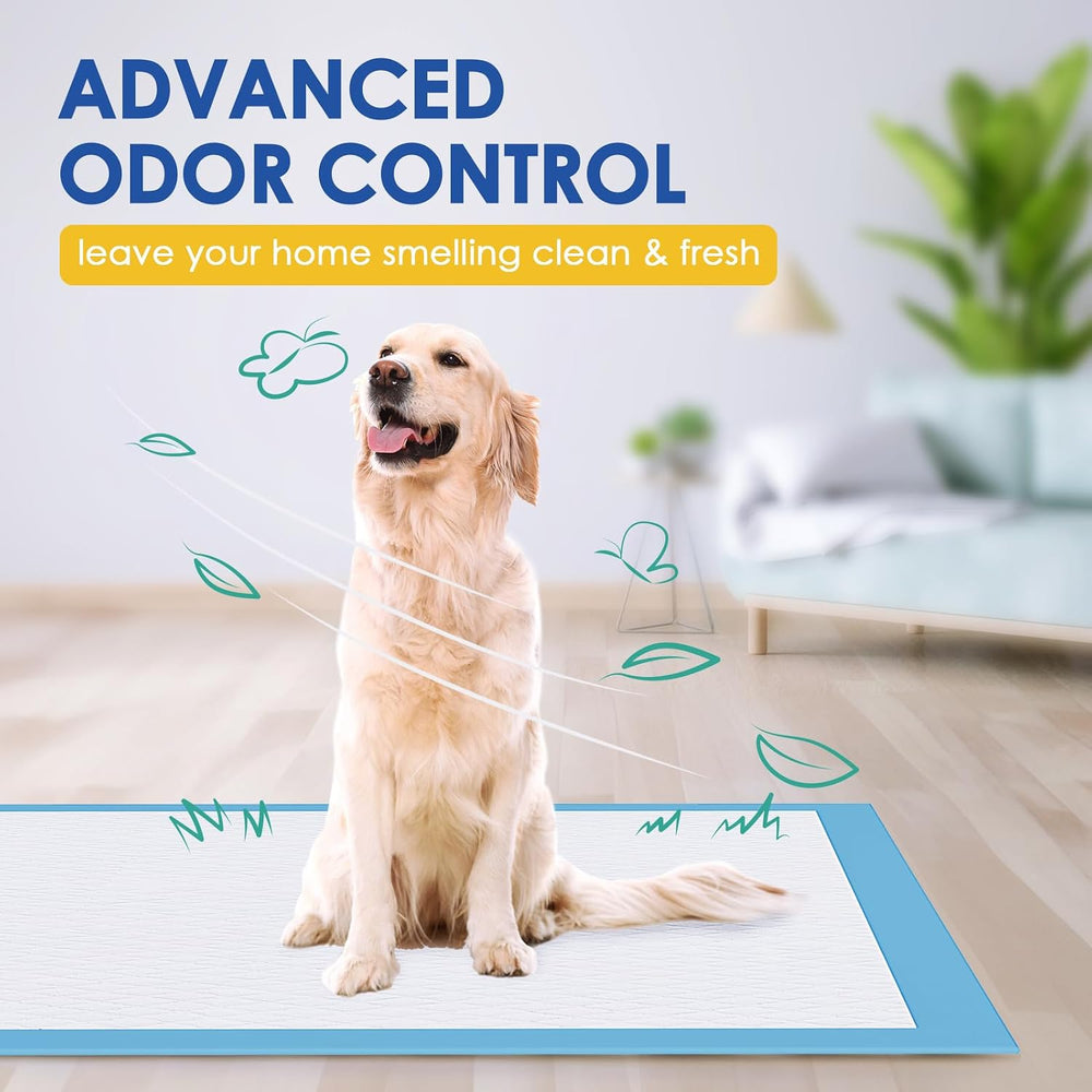 Dog Pee Pads Extra Large 28"x34", 100 Pack Super Absorbent XL Puppy...