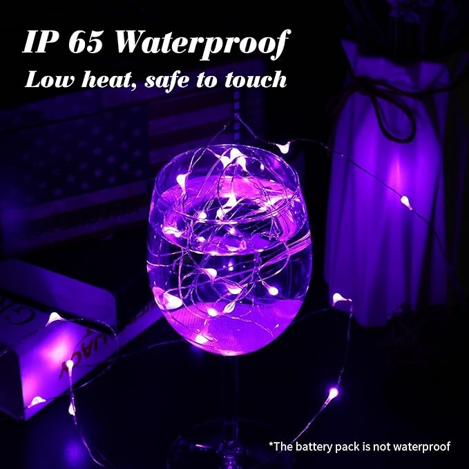 ZGWJ 100 Pack Fairy Lights Battery Operated, 7ft 20 Mini LED Fairy String Lig...