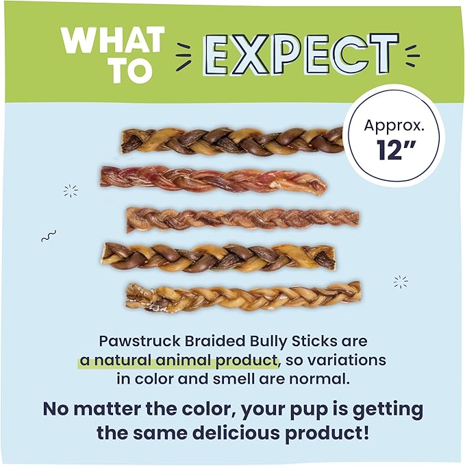 Pawstruck Natural 12” Braided Bully Sticks (10 Count)