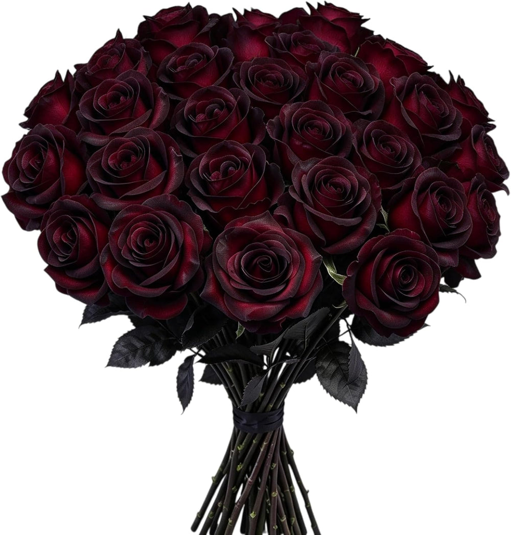 DoubleWood Halloween Artificial Silk Roses, 24Pcs Black Burgundy Flowers