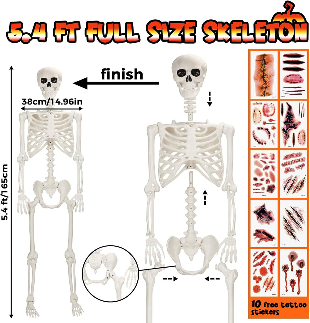 5.4 FT Halloween Life Size Skeleton, Full Size Skeleton Poseable