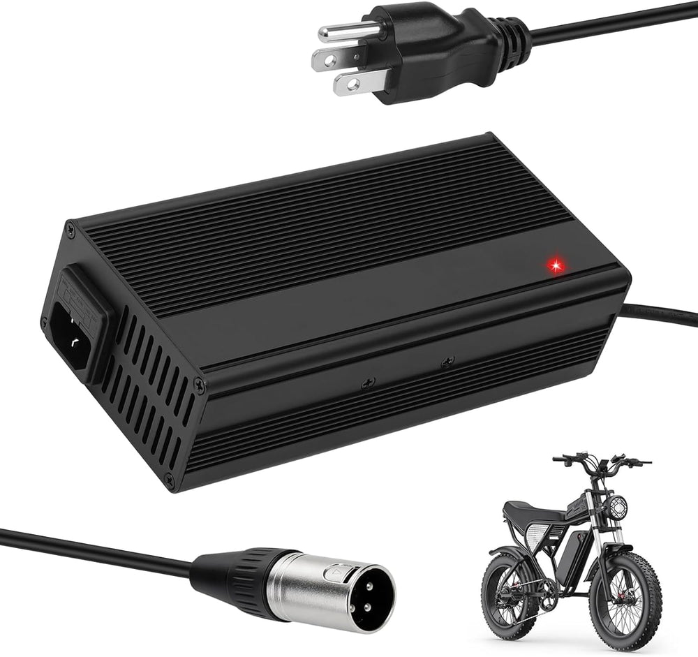Upgraded Fast Charging 3-Pin 48V 5A Battery Charger for Q20 Ridstar, Battery ...
