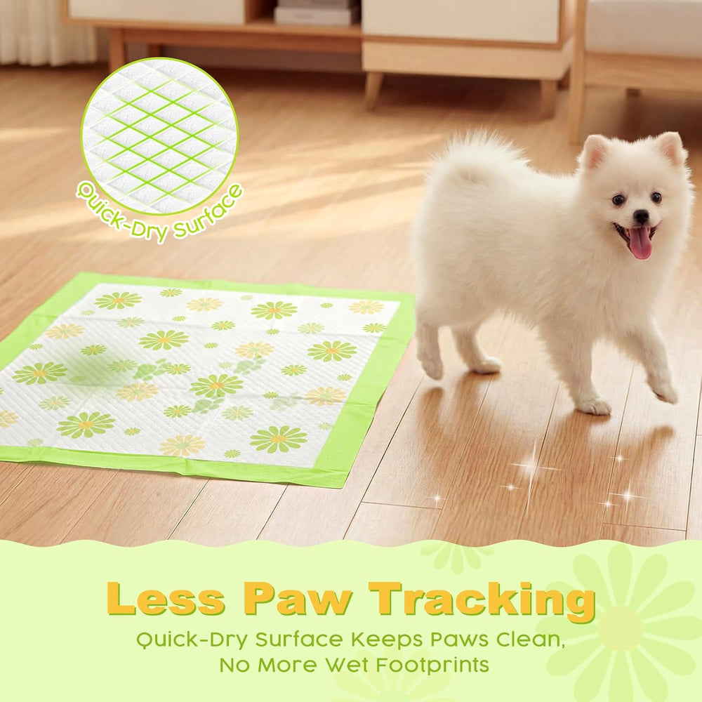 MIZOK Puppy Pads with Adhesive Tabs Green Daisy Prints Small 22x22in 100Ct