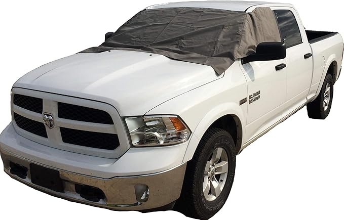 Windshield and Side Window Cover