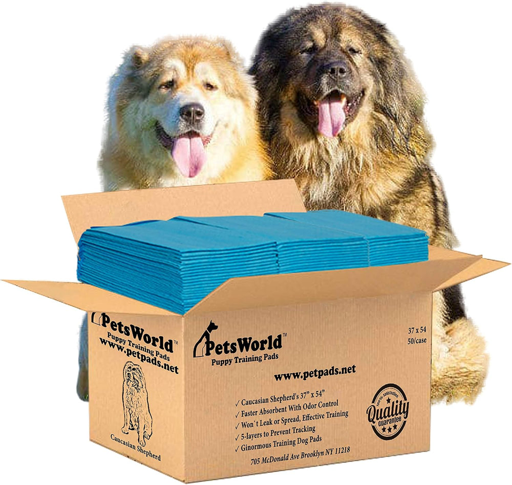 Pee Pads for Dogs 37x54 XXXL | Dog Training Pads 50 Count Adhesive Tabs