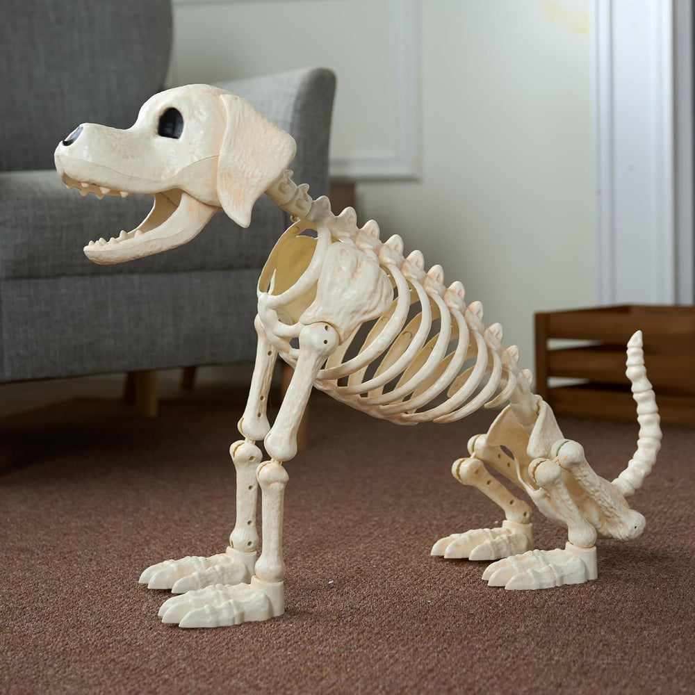 JOYIN Halloween Golden Retriever Skeleton 34โ Animal Dog Plastic Skeleton wit...