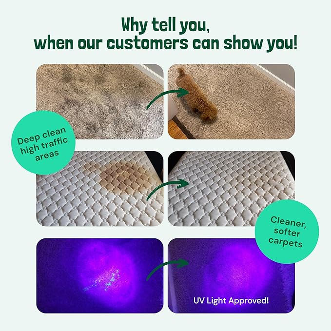 Sunny & Honey Carpet Cleaner Solution