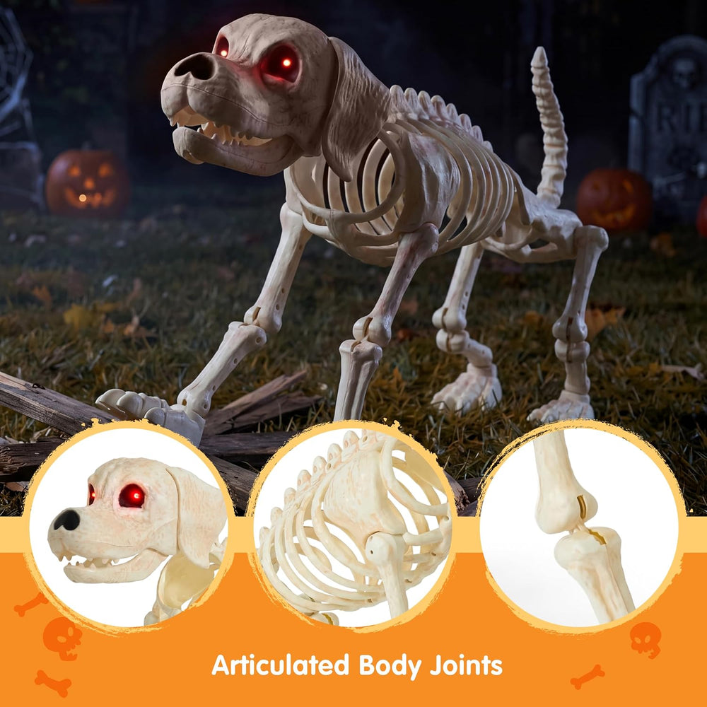 JOYIN Halloween Golden Retriever Skeleton 34โ Animal Dog Plastic Skeleton wit...