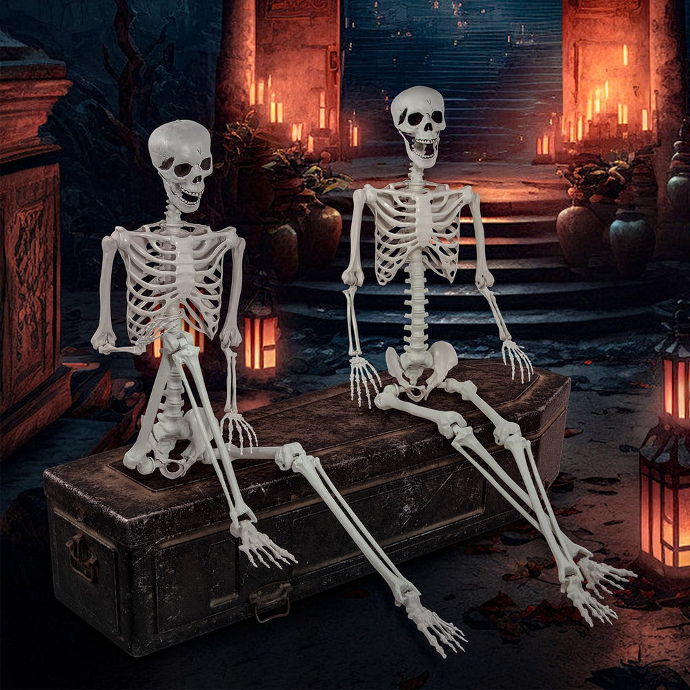 5.9ft Halloween Life Size Skeleton Realistic Full Body Skeletons Plastic Huma...