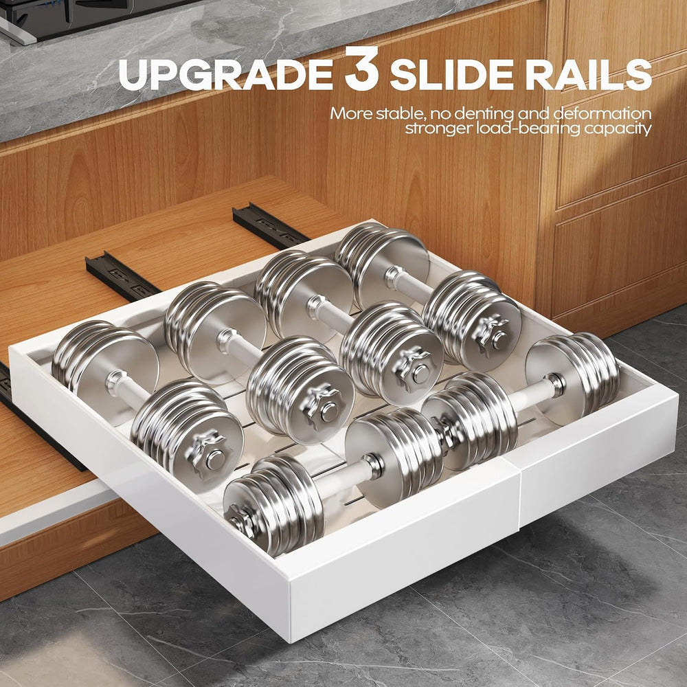 Seinloes 4Pack Expandable Pull Out Cabinet Organizer 21"Deep with Raisin...