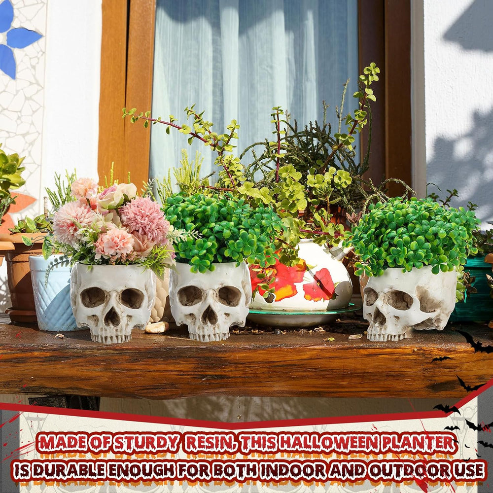 2 Pack Halloween Skull Planter, Antique White, Classic