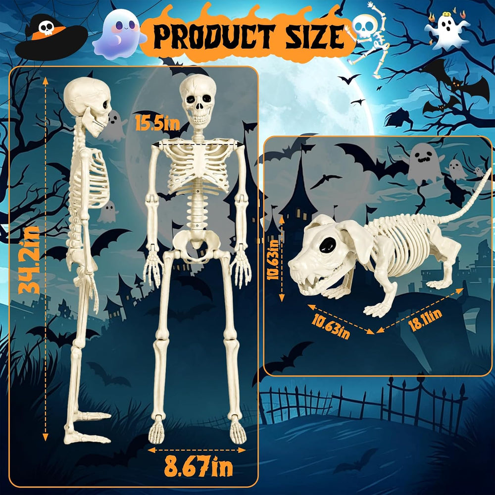 36'' Life-Size Posable Halloween Skeleton Decorations with Dog Skeleton