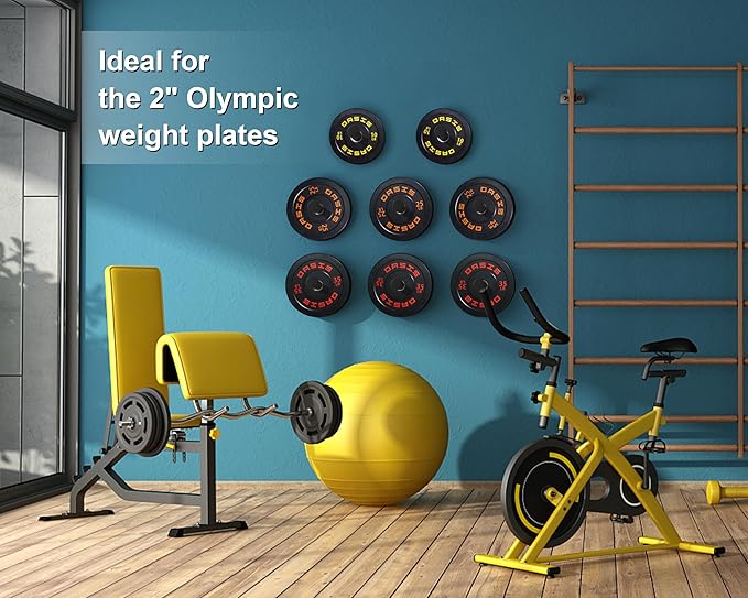 Weight Plate Holder, Wall Mounted Weight Rack Storage