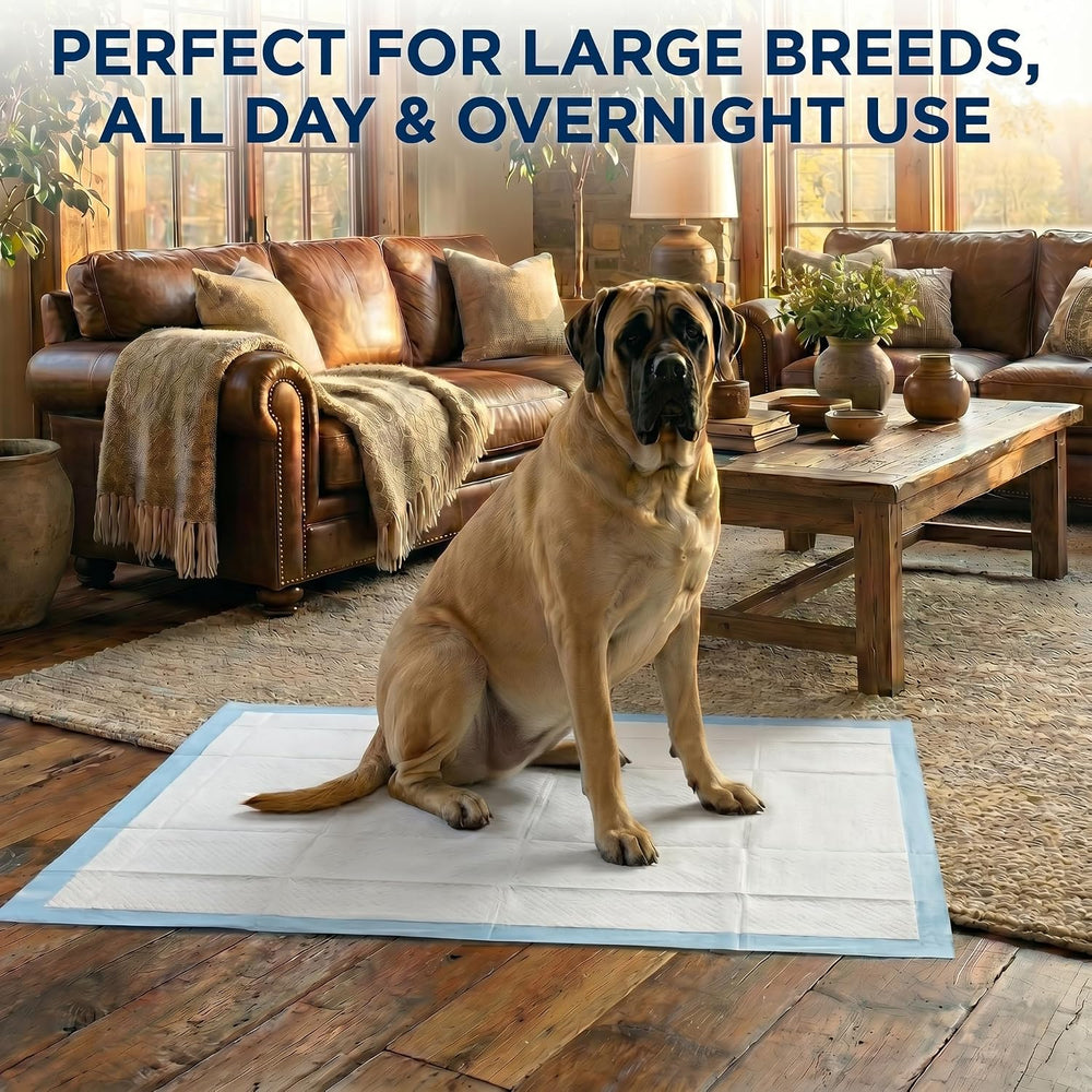 Pee Pads for Dogs Extra Large 37x54 XXXL 50 Count Leak Proof Heavy Duty