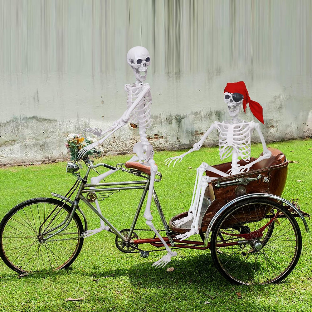 2 Pack 5.4Ft Halloween Skeletons Posable Skeletons Life Size Full Body Bones ...