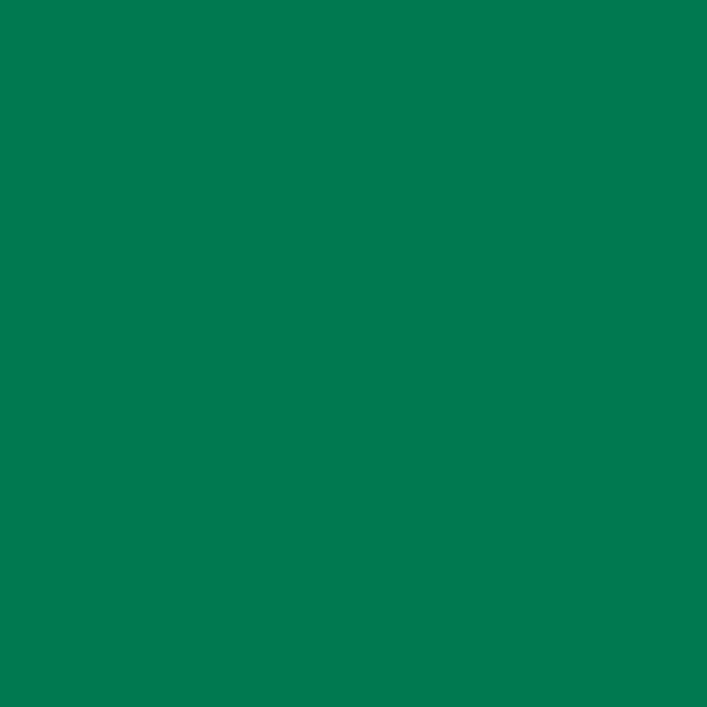 ANT Green, 24" x 50’, Permanent Vinyl Roll, Adhesive Vinyl Roll, for DIY...