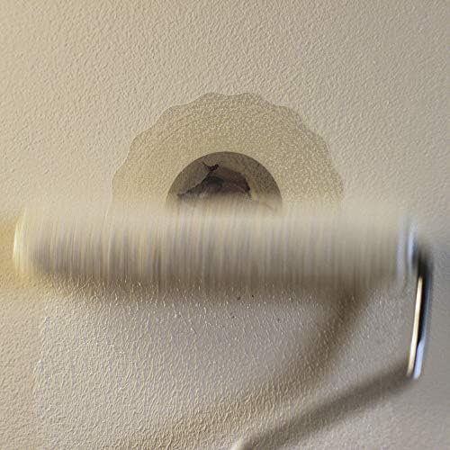 DAP 7079809163 Repair Eclipse Wall Patch, 4 Inch, Clear,White (Pack of 2)