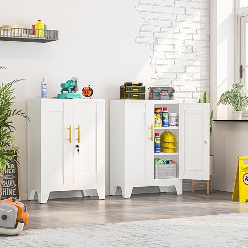 Small Locking Cabinet, Metal Storage Cabinet with Doors and 2 Shelves