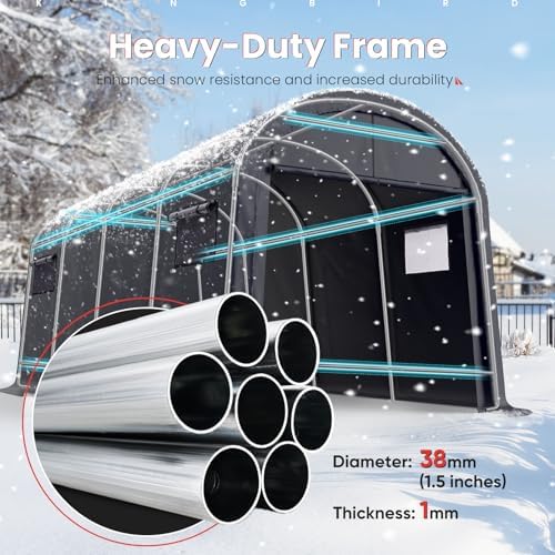 KING BIRD 10' x 20' Carport Shelter with Roll-up Ventilated Windows
