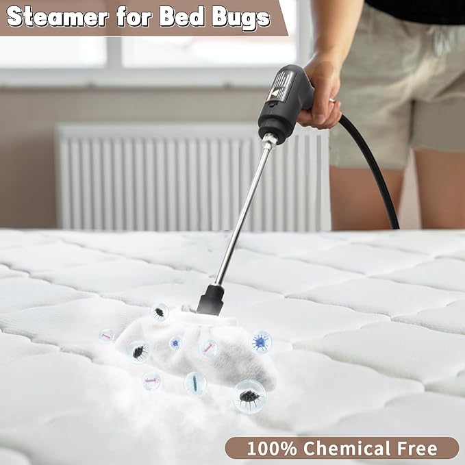 Handheld Steam Cleaner for Home, 2500W High Temperature Pressurized Machine
