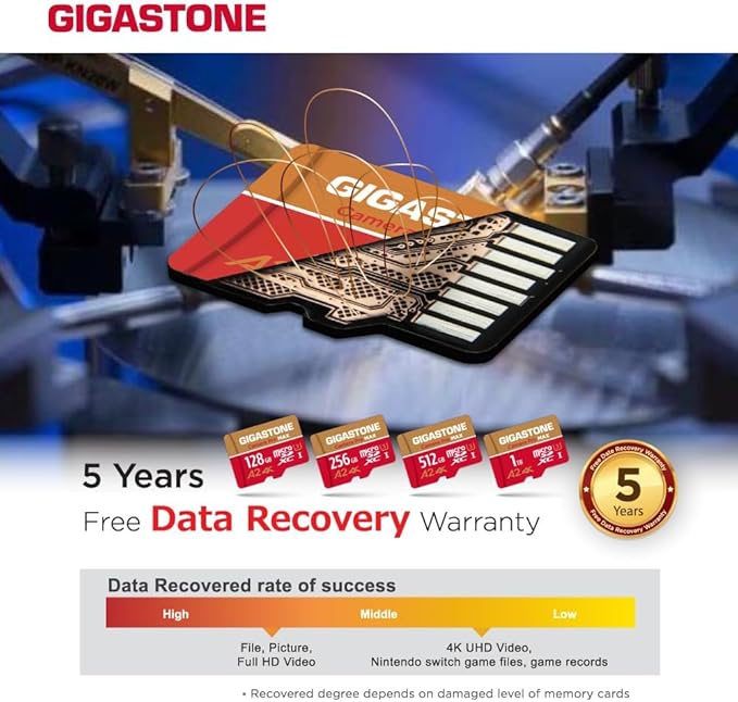 GIGASTONE 256GB Micro SD Card