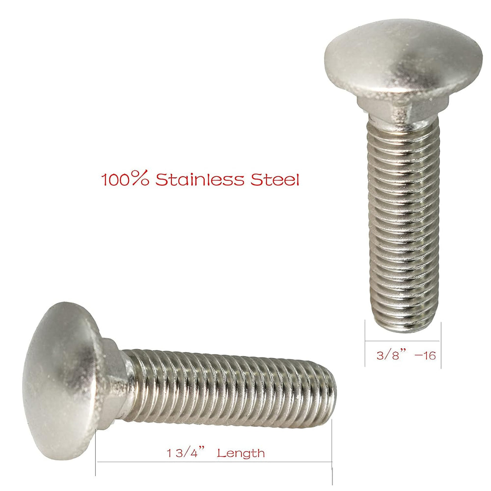 SANTIE 3/8 in.-16 x 1-3/4 in. Stainless Steel Carriage Bolts