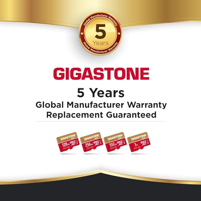 GIGASTONE 256GB Micro SD Card