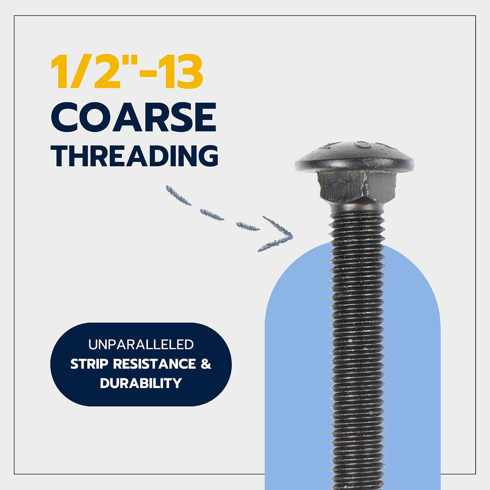 1/2 in. x 3-1/2 in. Black Carriage Bolt Kit Includes 12 Bolts, 12 Washers, an...