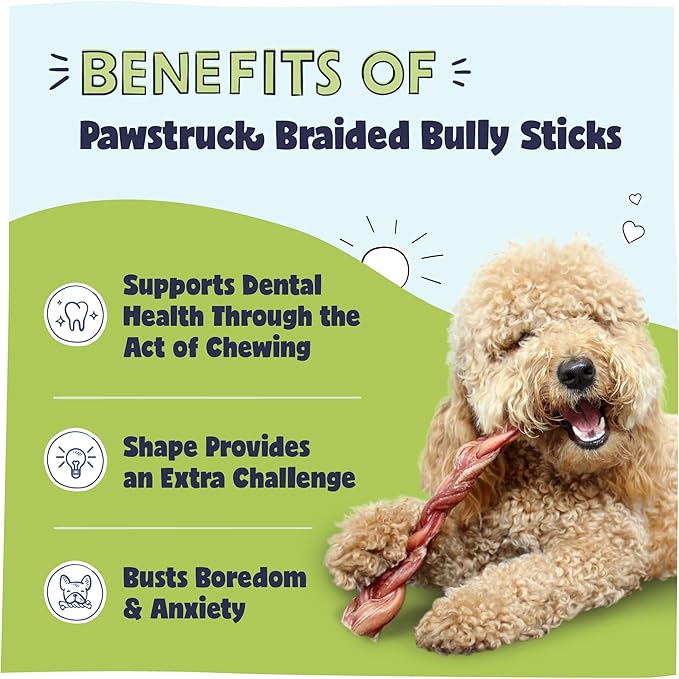 Pawstruck Natural 12” Braided Bully Sticks (10 Count)