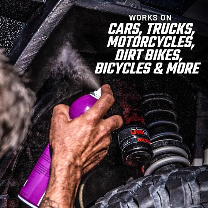 Slick Products Shine & Protectant, Long-Lasting High-Gloss Clear Coat Spr...